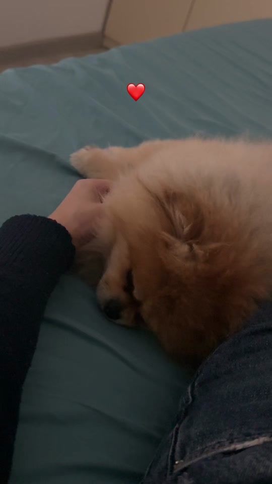 TikTok video thumbnail by alee_xandraaaa