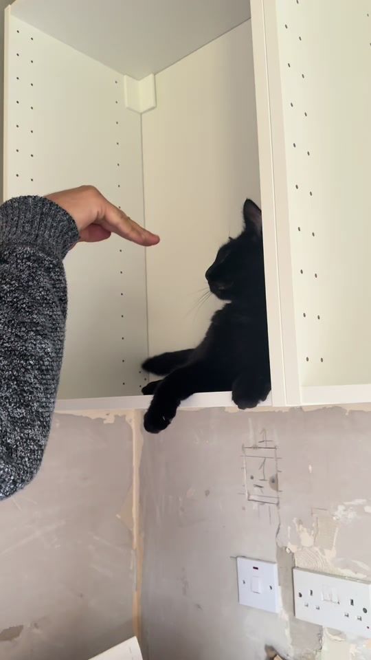 TikTok video thumbnail by magicandweasley
