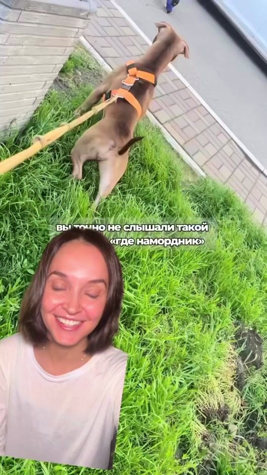 TikTok video thumbnail by marina_story