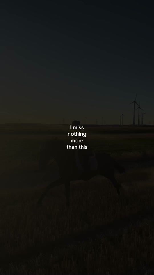 TikTok video thumbnail by bianca_workingequitation