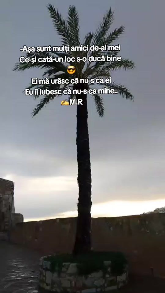 TikTok video thumbnail by mitikarusu