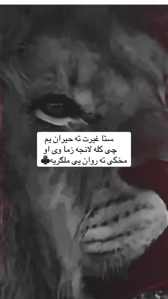 TikTok video thumbnail by a__l__i430