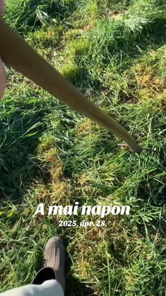 TikTok video thumbnail by j_laszlo