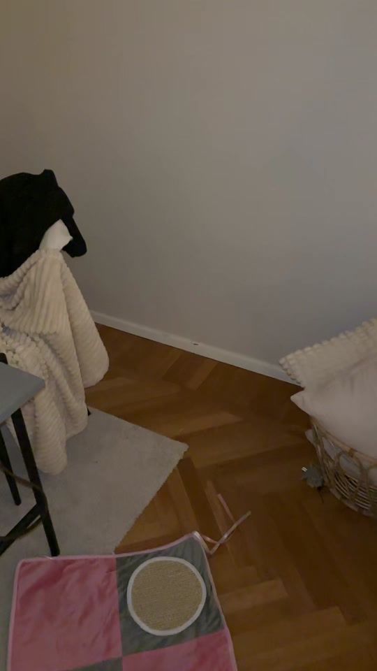 TikTok video thumbnail by rebeccawinsness