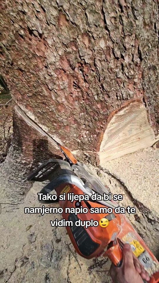 TikTok video thumbnail by nino.djuranovic