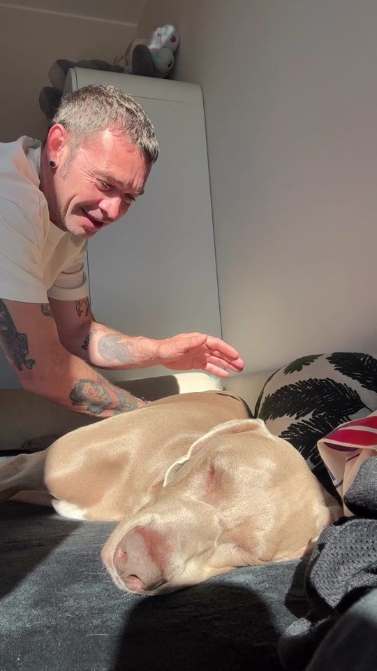 TikTok video thumbnail by riky.nicoletti