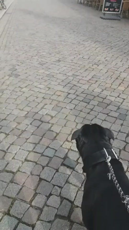 TikTok video thumbnail by beastdna