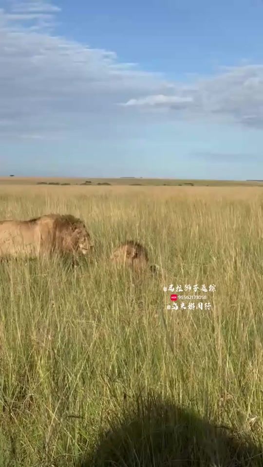 TikTok video thumbnail by albena.benito