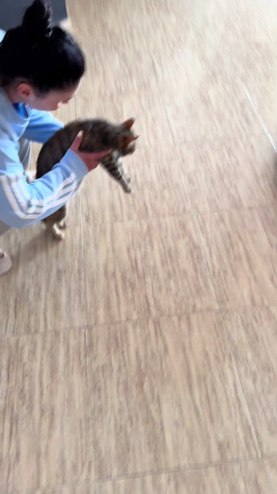 TikTok video thumbnail by b.b.family01