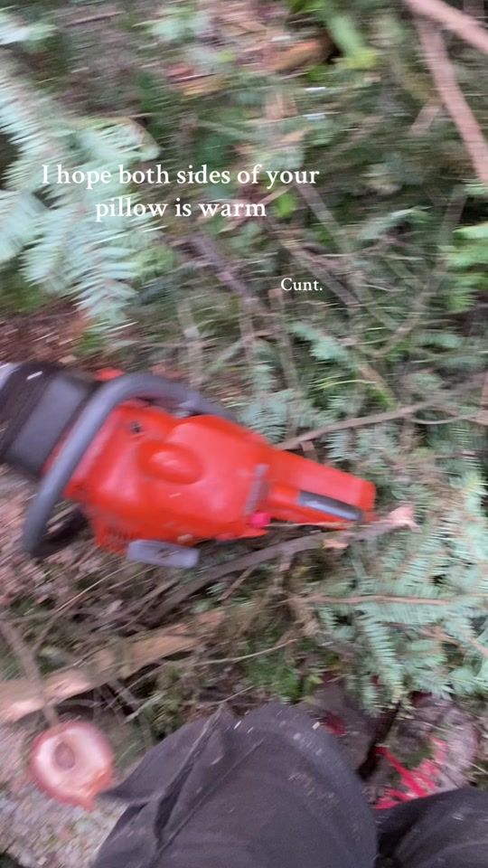 TikTok video thumbnail by ninarepnik