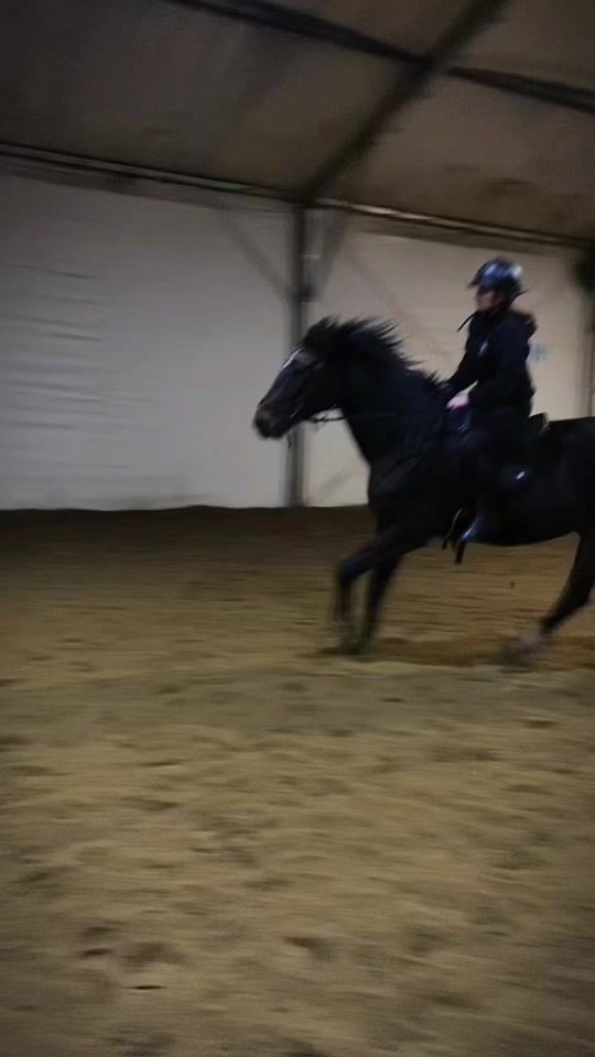 TikTok video thumbnail by equestrian_klosinska_n
