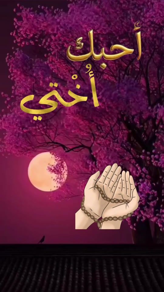 TikTok video thumbnail by rahat_anafs