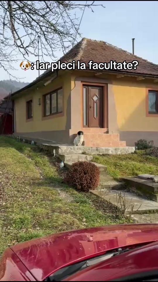TikTok video thumbnail by mirela.gbr