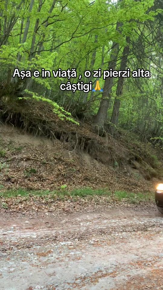TikTok video thumbnail by dobraaliniulian
