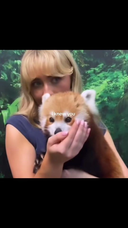TikTok video thumbnail by chiaralouwho