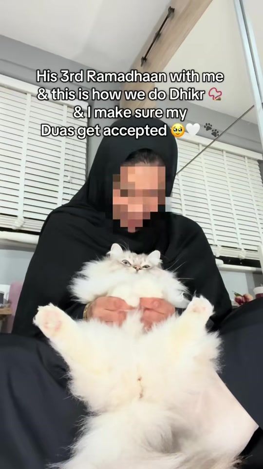 TikTok video thumbnail by scottishfold_mama