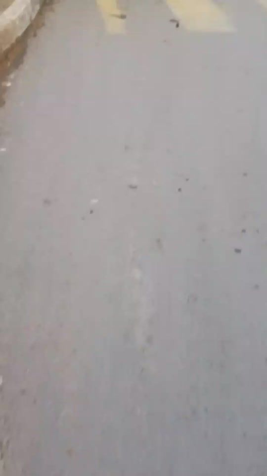 TikTok video thumbnail by r_s.41