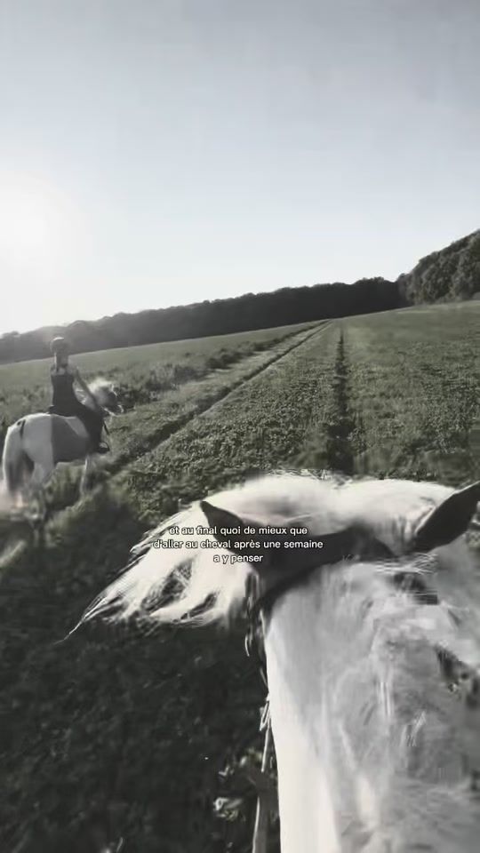 TikTok video thumbnail by lea_equitation91