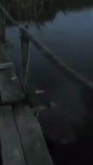 TikTok video thumbnail by safe7880