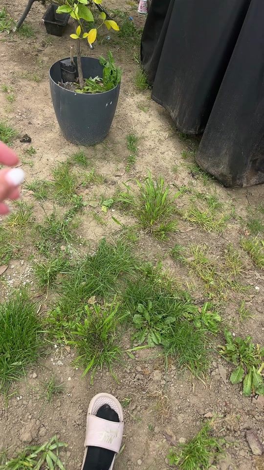 TikTok video thumbnail by echappeesauvage