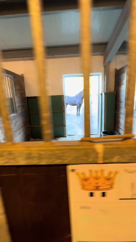 TikTok video thumbnail by eq.mikela