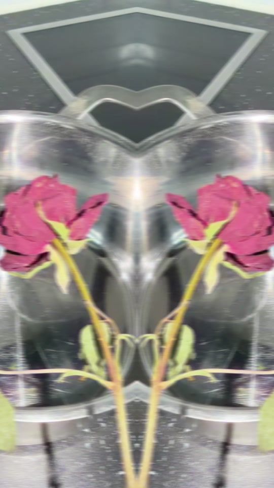 TikTok video thumbnail by elishwa.g