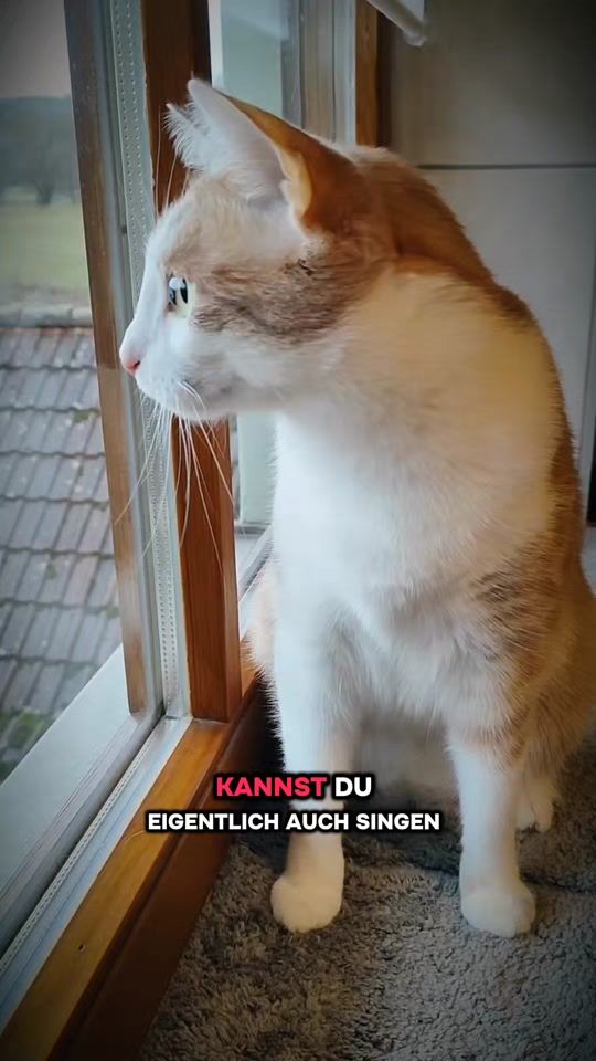 TikTok video thumbnail by _hejdine_