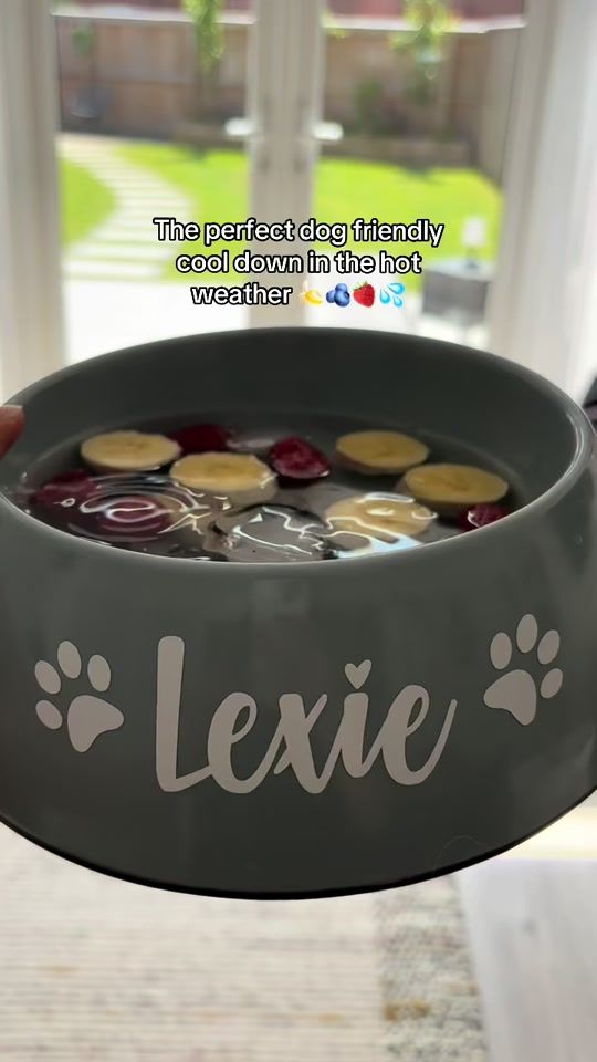 TikTok video thumbnail by lexiegoldenbear