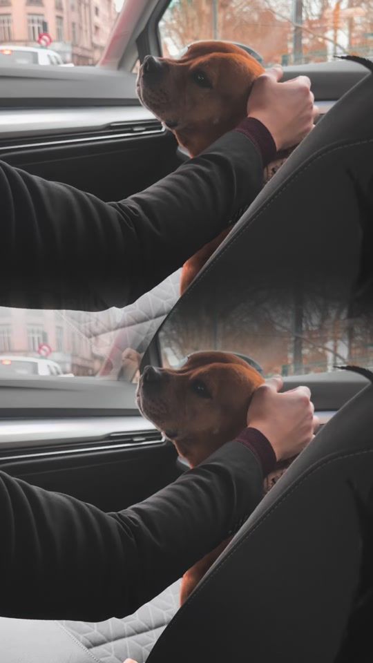 TikTok video thumbnail by malki.redstar