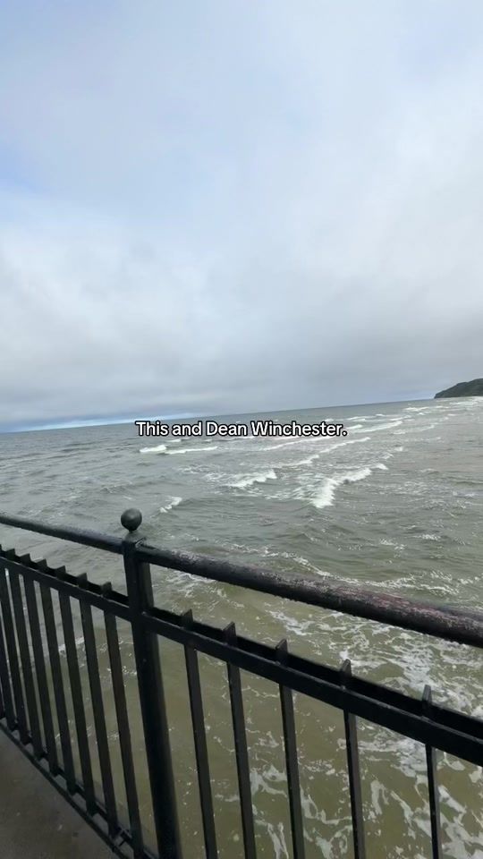 TikTok video thumbnail by ceceackles