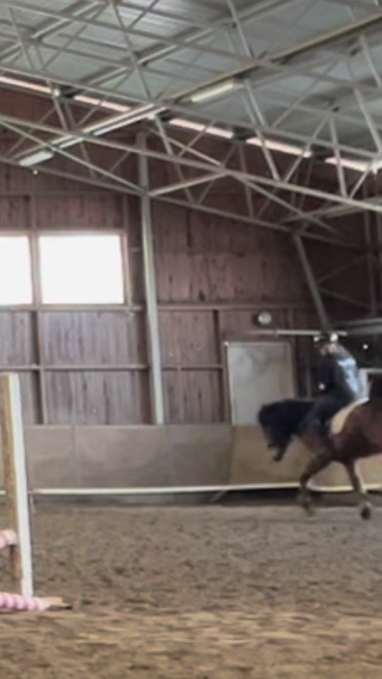 TikTok video thumbnail by jakke.equestrian