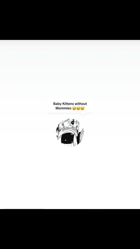 TikTok video thumbnail by cillianzart