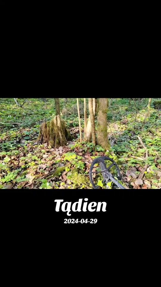 TikTok video thumbnail by almantas_historykeeper