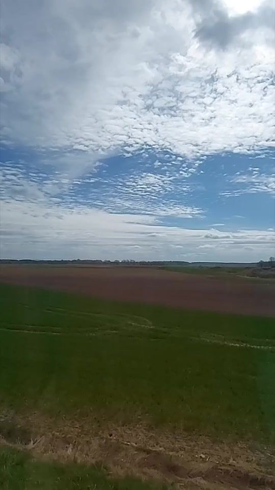 TikTok video thumbnail by daivadjpa