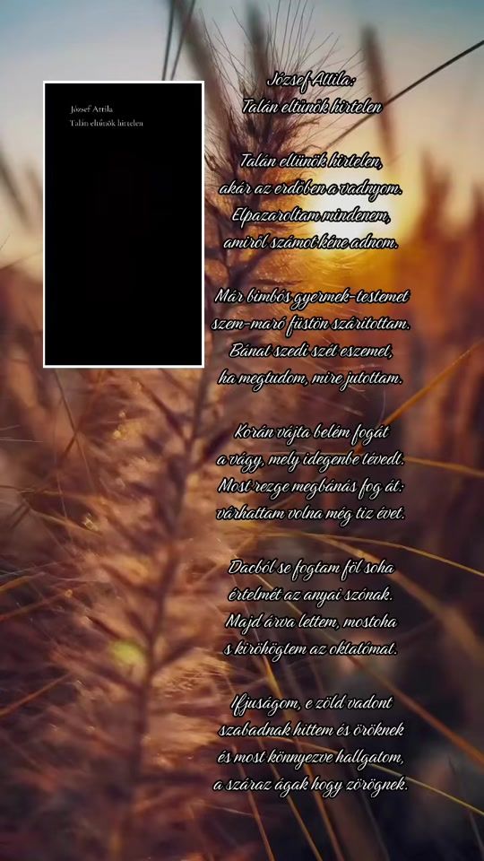 TikTok video thumbnail by andrea_csaba