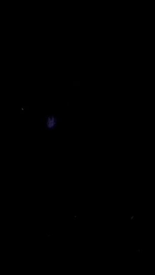 TikTok video thumbnail by butter_flys4