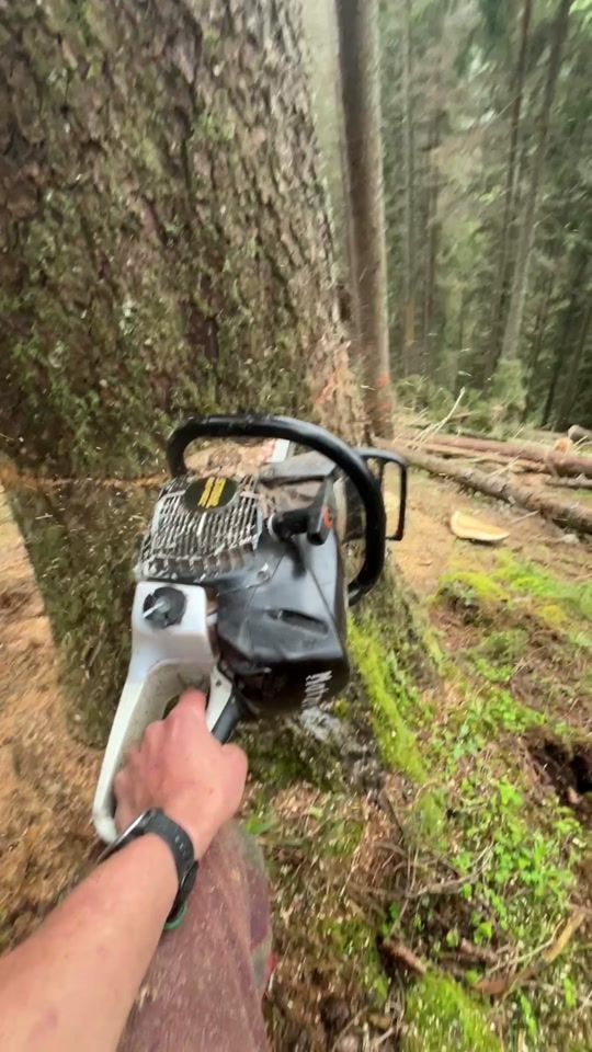 TikTok video thumbnail by matze.2410