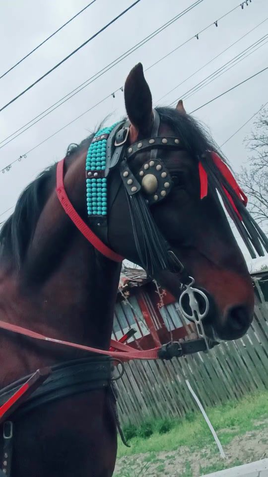 TikTok video thumbnail by madalin_._01
