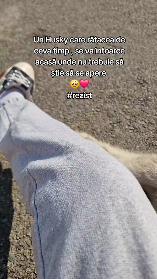 TikTok video thumbnail by haz.cu.necaz