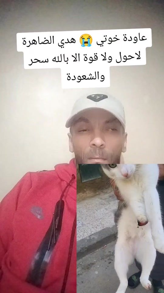 TikTok video thumbnail by aminebelabas22
