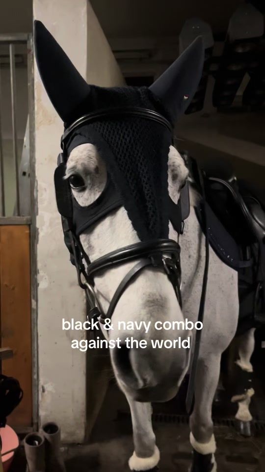 TikTok video thumbnail by sasza333
