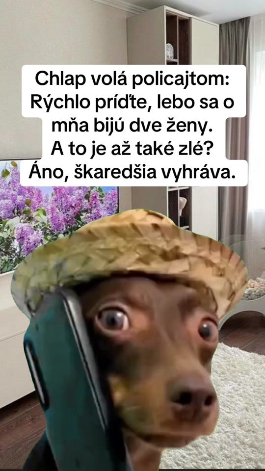 TikTok video thumbnail by meme_zona1