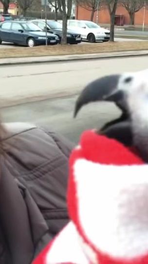 TikTok video thumbnail by swedishhomee