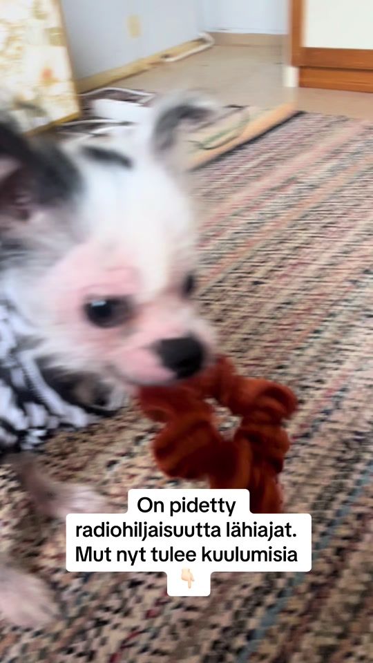 TikTok video thumbnail by repekoukku