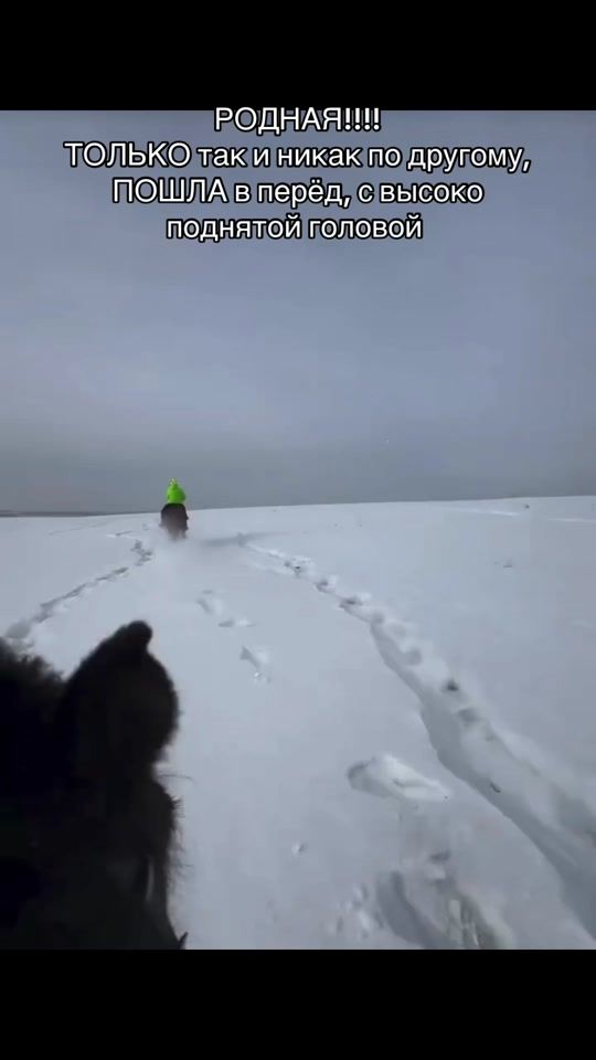 TikTok video thumbnail by lenok552717