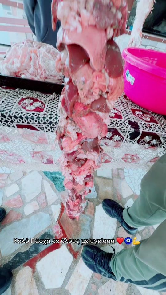 TikTok video thumbnail by user767686960095