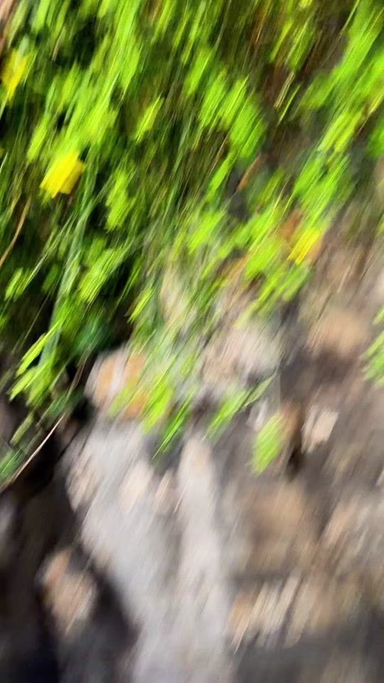 TikTok video thumbnail by nonooytb