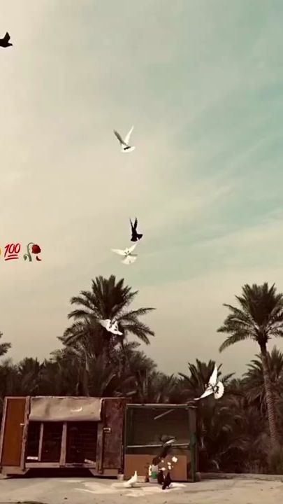 TikTok video thumbnail by nr_writes