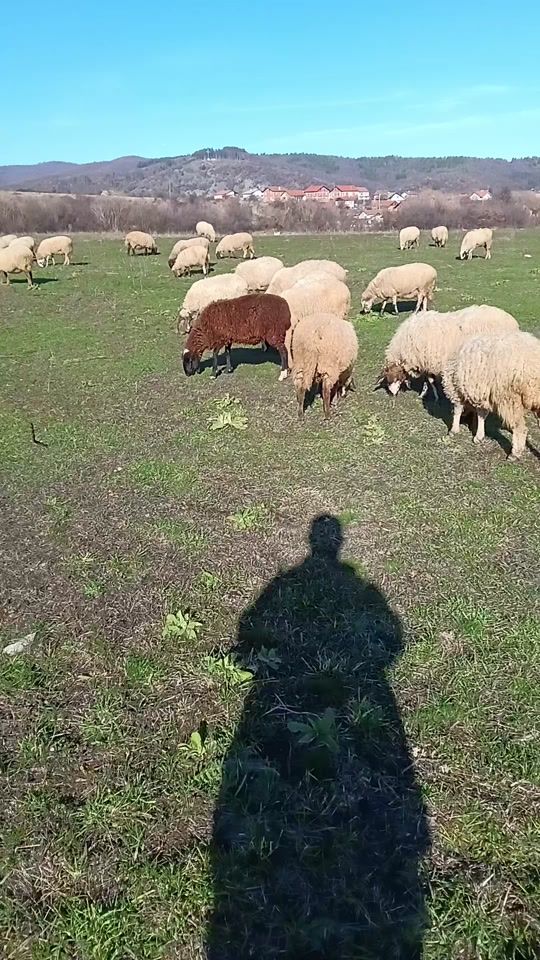TikTok video thumbnail by user2509360585098