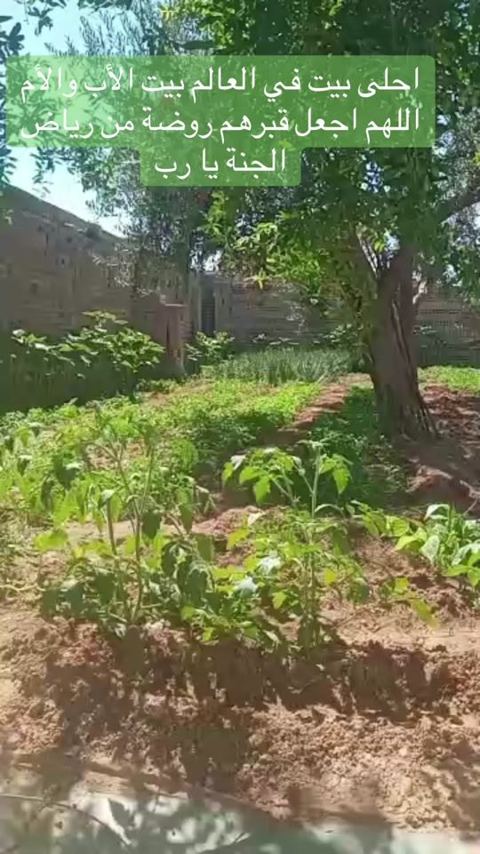 TikTok video thumbnail by rafehsaleh